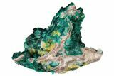 Gemmy Dioptase Cluster on Dolomite - Ntola Mine, Congo #130496-3